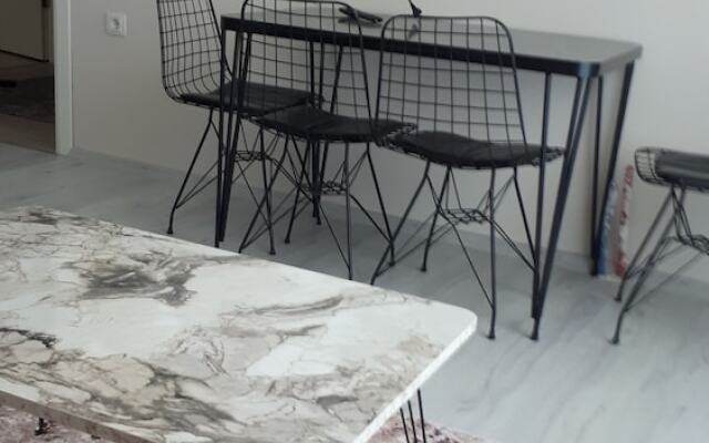 Geyikli günlük daire3