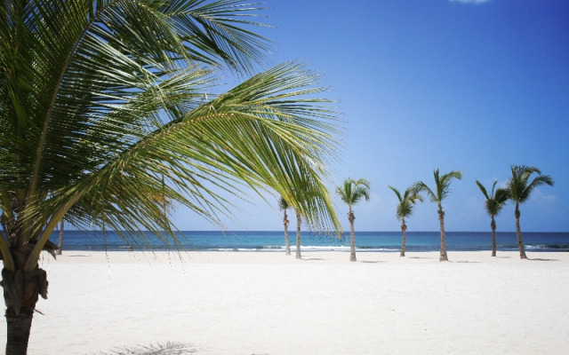 Costa Del Sol (Juan Dolio Beach)