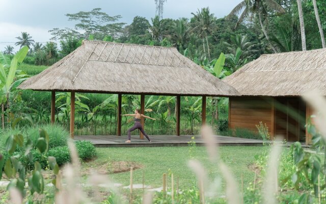 Kappa Senses Ubud