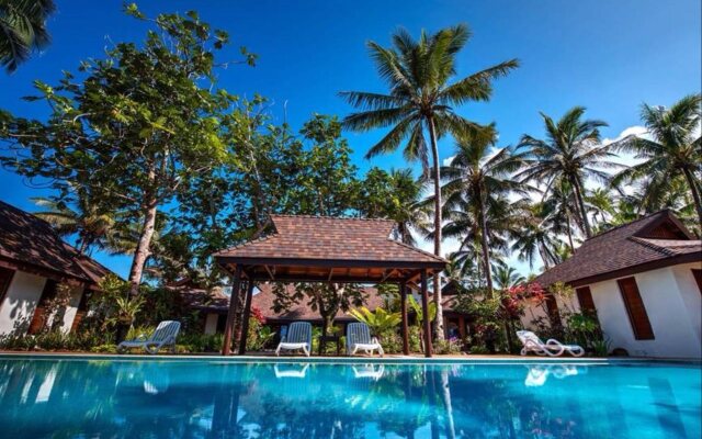 Maui Palms