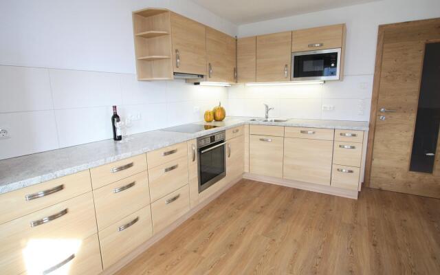 Exquisite Apartment in Mittersill near Ski Area