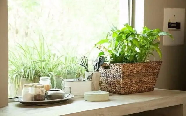 Little Forest Guest House