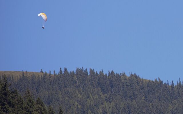 Welcoming Apartment in Hollersbach im Pinzgau near Ski Area