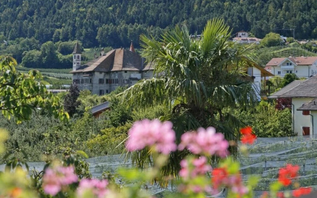 Pension Felsenegg