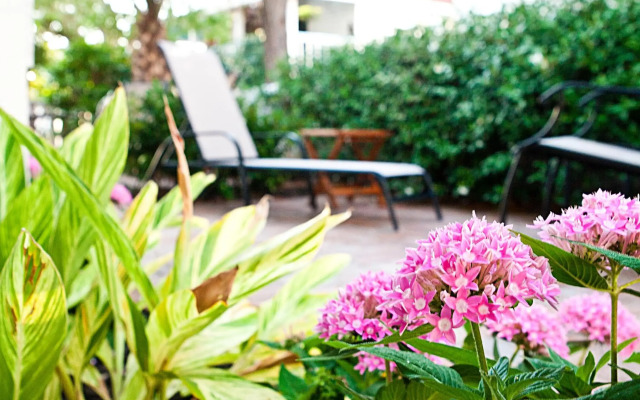DeSoto Beach Gardens
