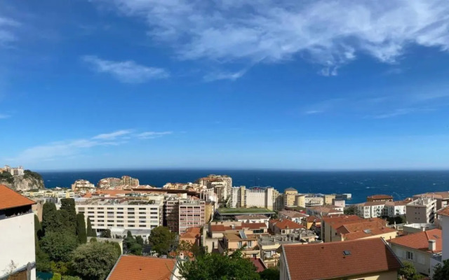 Amazing view - Monaco