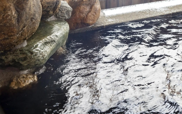 Dormy Inn Kawasaki Natural Hot Spring