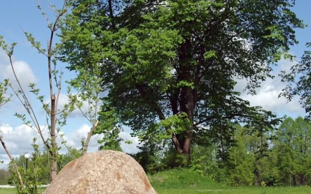 Отель «Вишневый сад»