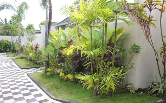 The Kayuputih