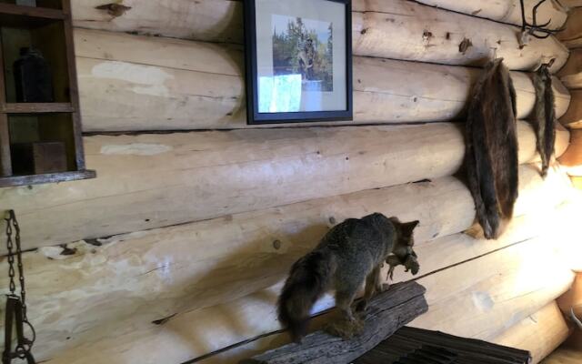 Wrangell Mountain Lodge