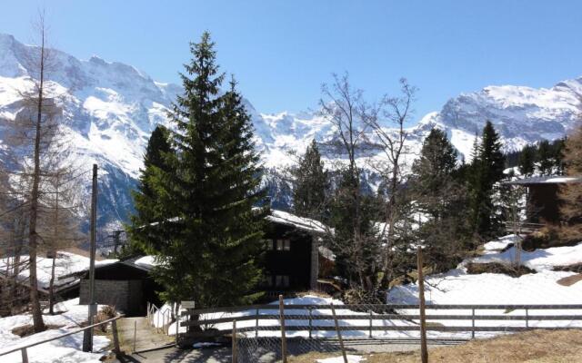 Chalet Schönbühl