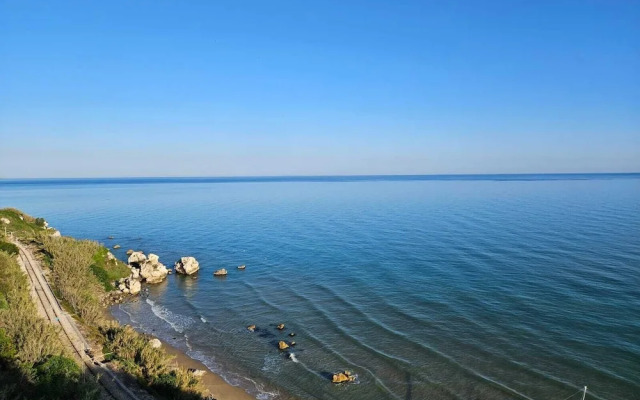 Joivy Dimore Rodiane - U Vucc'l