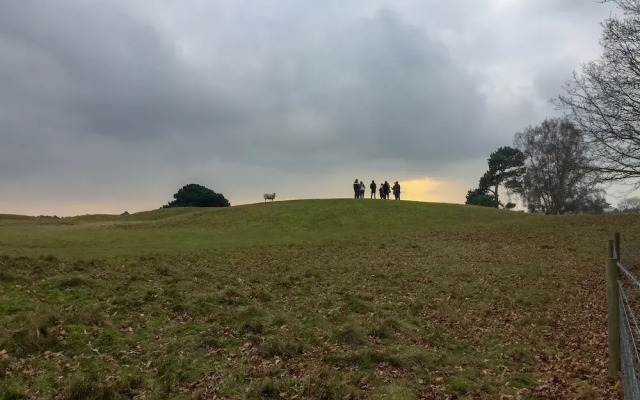 Mollett's Farm