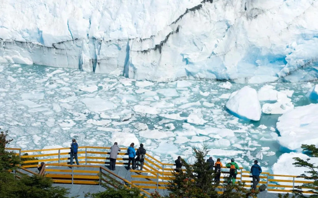 Sent Calafate