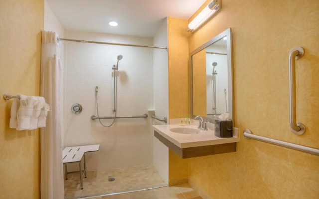 Holiday Inn Baltimore BWI Airport by IHG