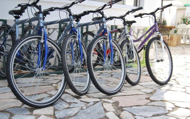 Hotel Boavista - Vintage House