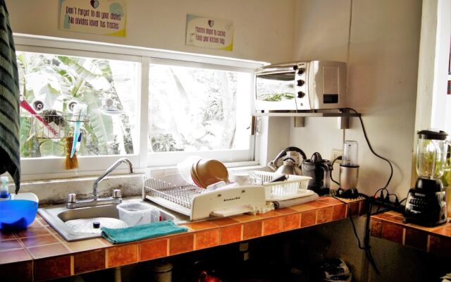 Catre de mi Corazón