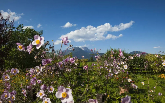 Rooster 2 -kierngasshausl-