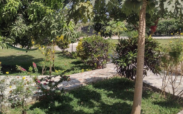 Real Owl Guest House