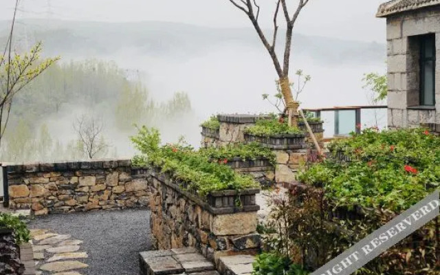 The Yard On The Cloud