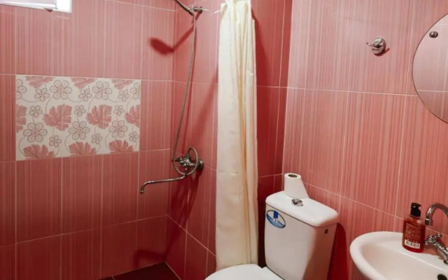 Guest house Evdoshvili St N5