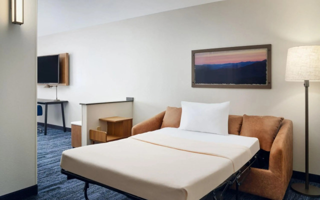 Fairfield Inn & Suites by Marriott Auburn Opelika