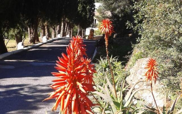 Finca Los Angelitos