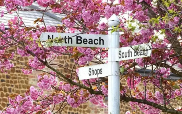 Quackers-seaside Village-pet Friendly-parking-