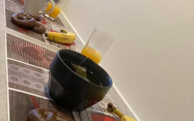 * Le Garden * Studio * Centre-ville Mulhouse