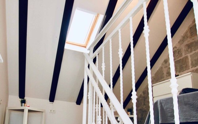 Dalmatian White Shell Apartment