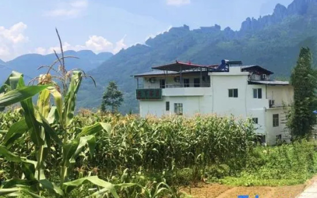 Where to Stay in Yunxia Tea House