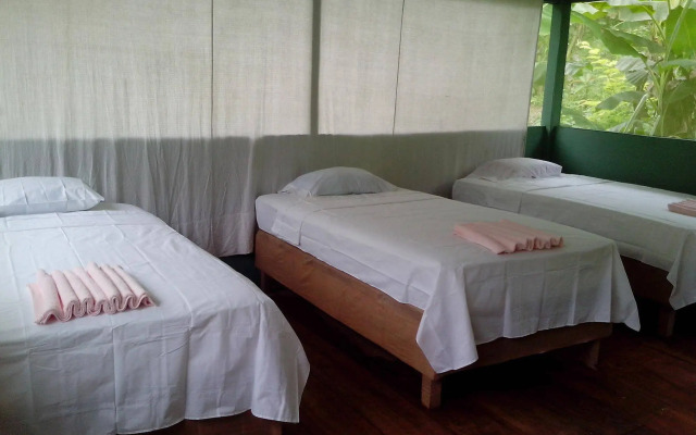Amazon Queen Lodge
