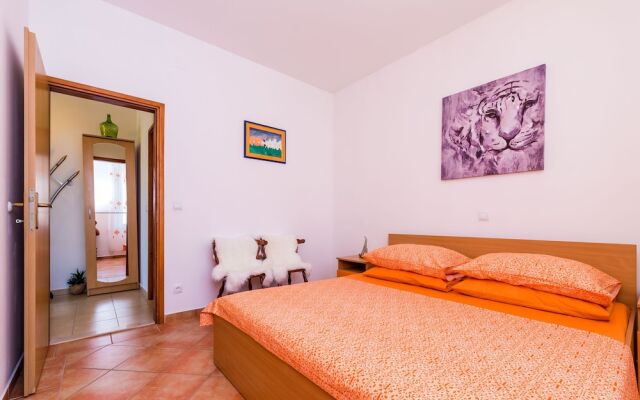 Apartments & Room Frane