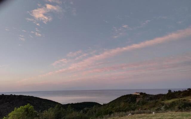 Ocean View Bushcamp Wilderness Glamp tents