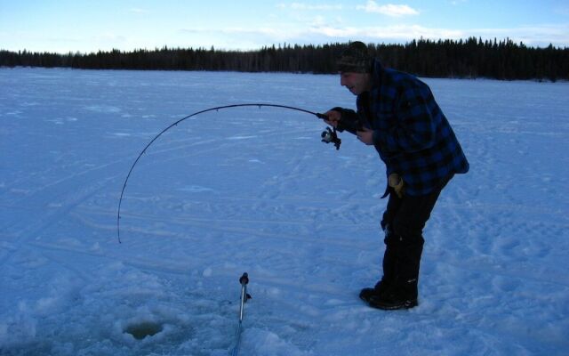 Williston Lake Resort