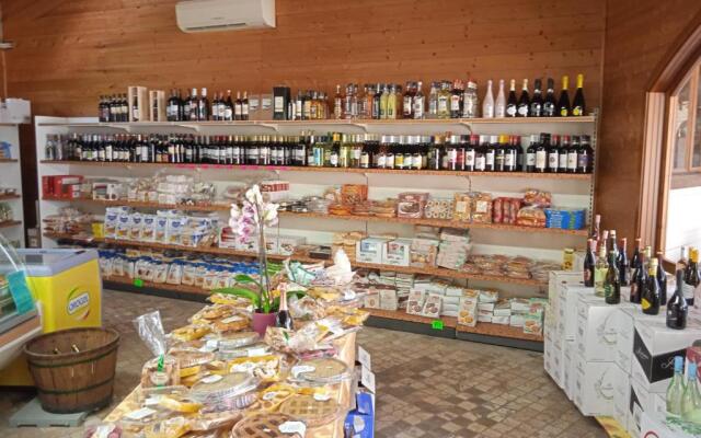 Comfort Mobilehome Camping R8 Viareggio