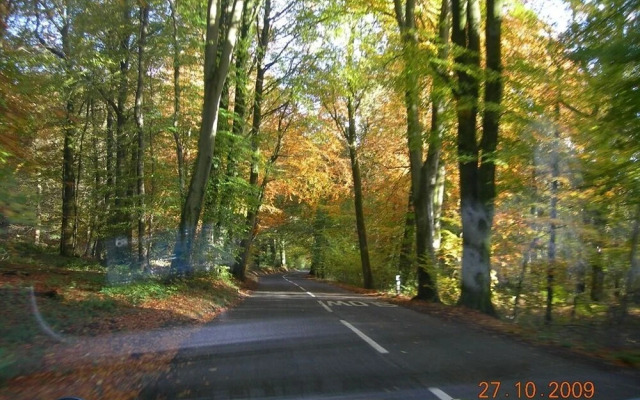 Two Hoots Campsite