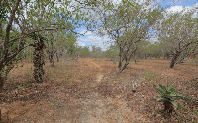 Oasis in the Wild @Marloth