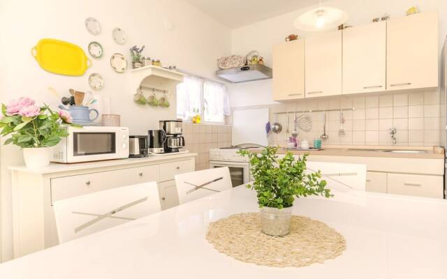 Apartment Roca
