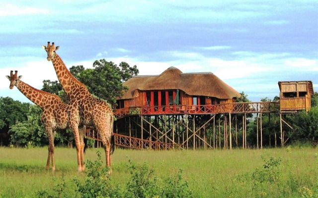 Pezulu Tree House Lodge