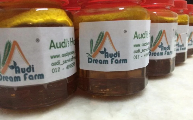 Audi Guesthouse