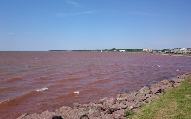 Willowgreen Farm B&B