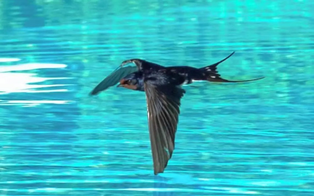 Affittacamere Campus Trigoria