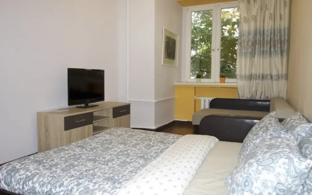 LUXKV Apartment on 1st Basmanniy