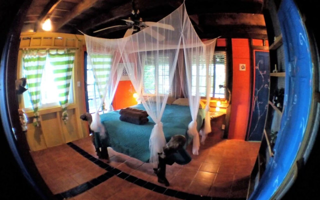 Mosana reef garden B&B