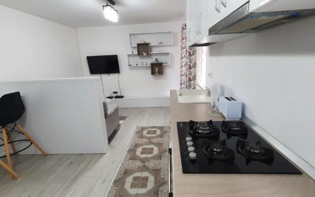 Nehoiu apartament