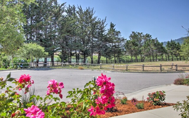 Serene Bungalow-style Home in Point Reyes Station!