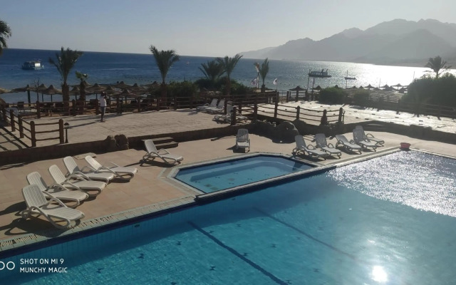 Panda Dahab Resort