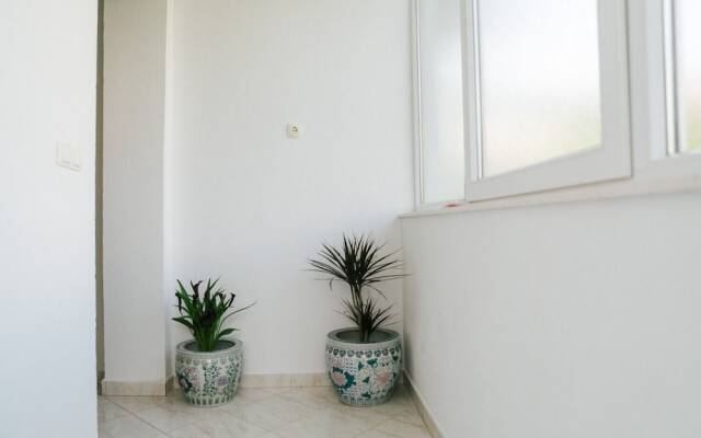 Florio - Garden & Free Parking - A1