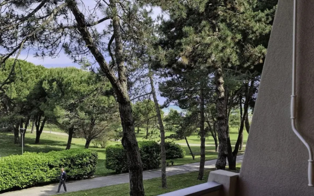 Lovely and Serene Flat Near Pluto Beach